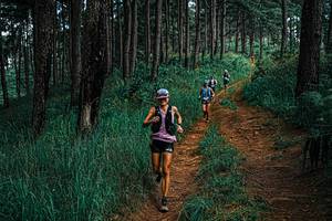 BIB: 
                            <button type="button" onclick="openModal(25659916)" class="btn btn-primary btn-sm float-right btn-popup" data-toggle="modal" data-target=".modal-high-quality">
                        <i class="fas fa-shopping-cart"></i> Add to Cart
                    </button>
                                            <button type="button" onclick="isThisMe(25659916, true)" class="btn btn-success btn-sm float-right btn-popup btn-isme hidden" data-toggle="tooltip" data-placement="bottom" title="นี่คือรูปของคุณใช่ไหม คลิกที่นี่เพื่อเอาเข้าอัลบั้ม">
                        <i class="fas fa-plus"></i> Add to album
                    </button>
                    <button type="button" onclick="isThisMe(25659916, false)" class="btn btn-warning btn-sm float-right btn-popup btn-isnotme hidden">
                        <i class="fas fa-ban"></i> Remove from album
                    </button>